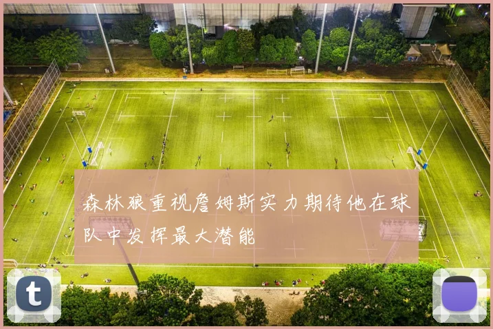 森林狼重视詹姆斯实力期待他在球队中发挥最大潜能
